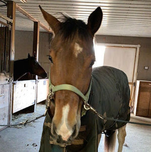 Meet your Posher, Hailey